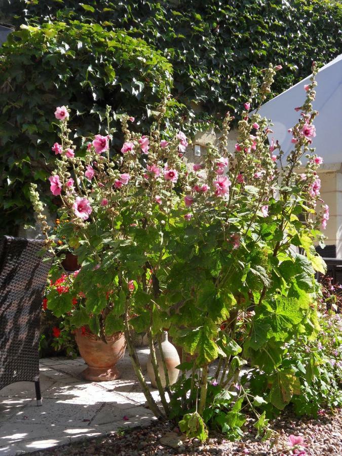 Troglodelice Bed & Breakfast Azay-le-Rideau Bagian luar foto