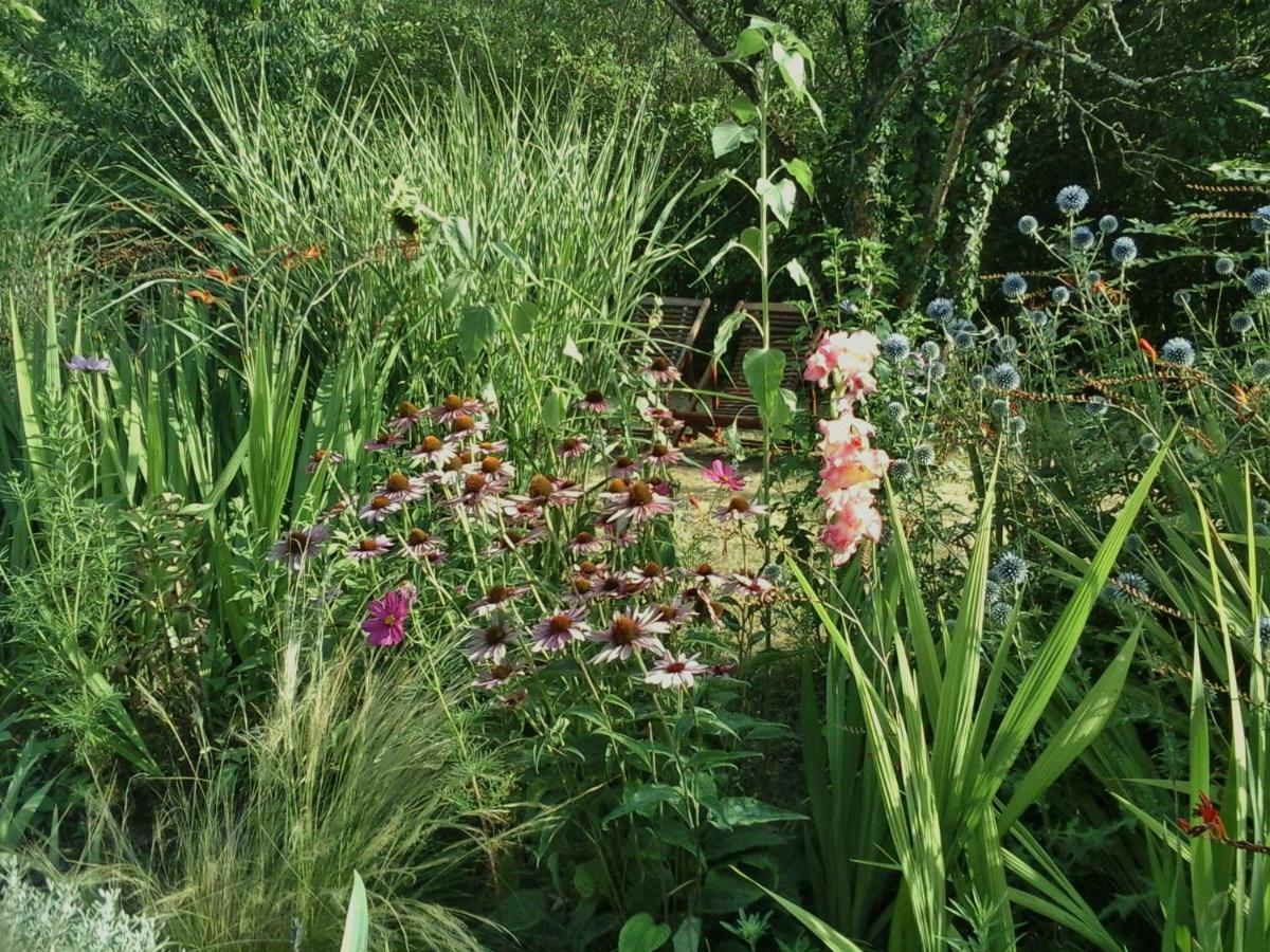 Troglodelice Bed & Breakfast Azay-le-Rideau Bagian luar foto